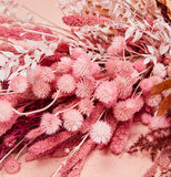 Dried Eryngium