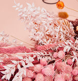 Dried Ruscus