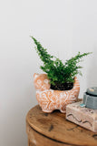 Garden Kitty Planter