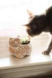 Garden Kitty Planter