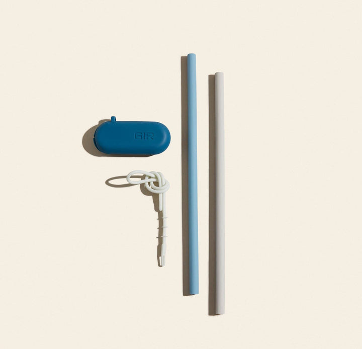 Traveler Straw 2-Pack