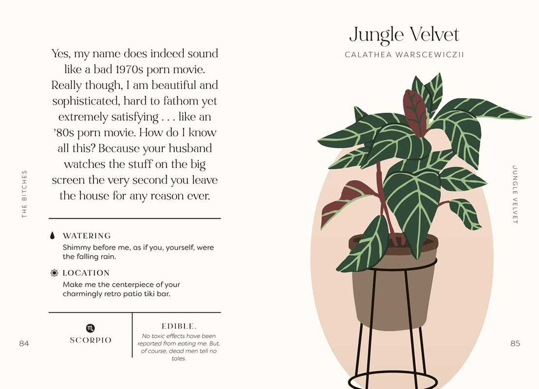 Houseplants and Their Fucked-Up Thoughts by Carlyle Christoff &amp; Elisabeth Saake