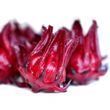 Seeds Thai Red Roselle Hibiscus