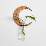 Wall Hanging Propagation Station Wooden Moon & Stars
