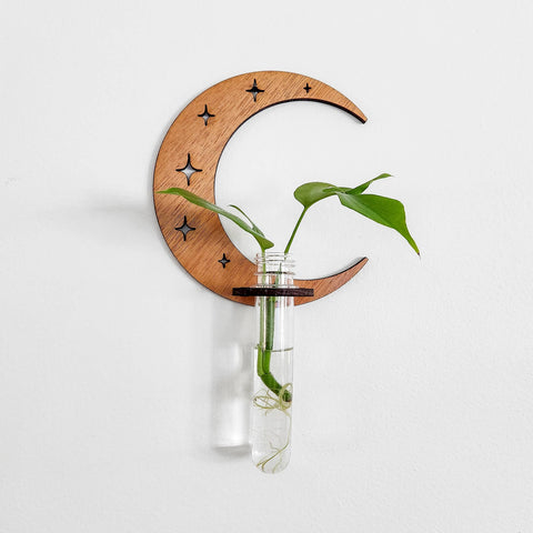 Wall Hanging Propagation Station Wooden Moon & Stars