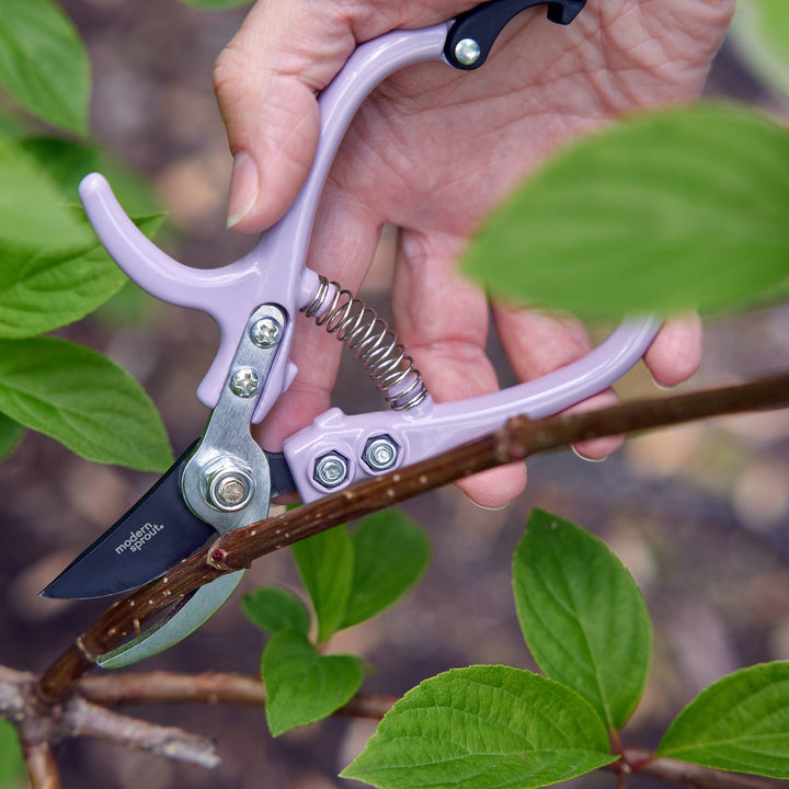 Garden Pruners: Ocean