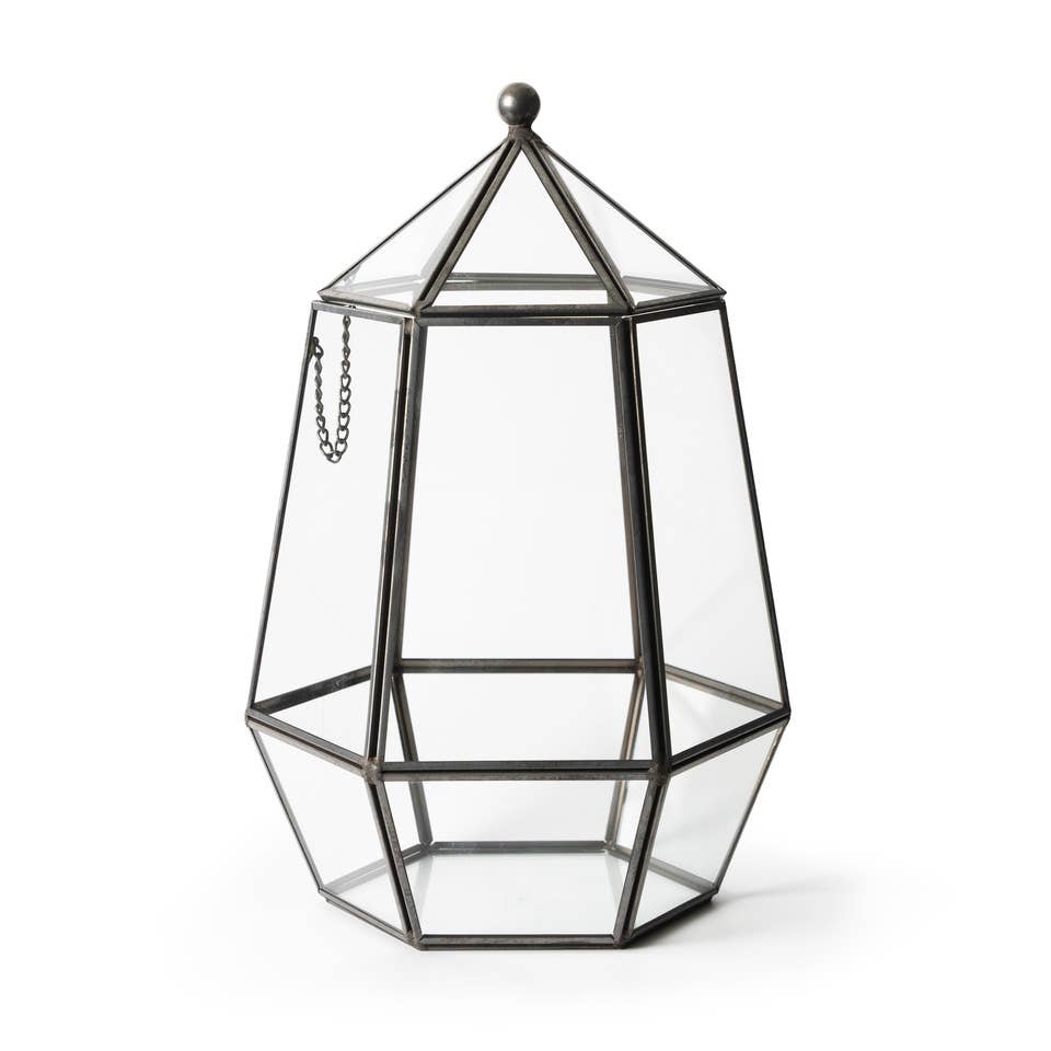 Glass Terrarium: Large