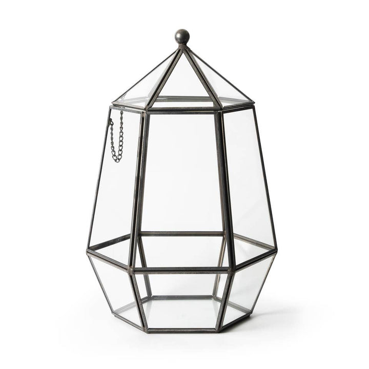 Glass Terrarium: Large