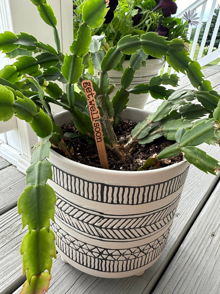 Everyday Plant Sticks/Signs: Happy Birthday