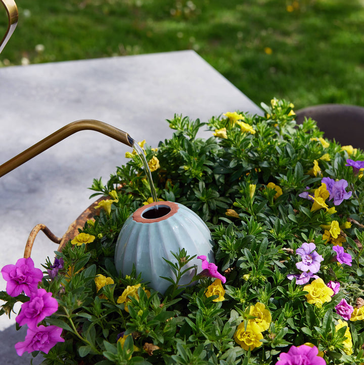 Terracotta Watering Bulb: Sage