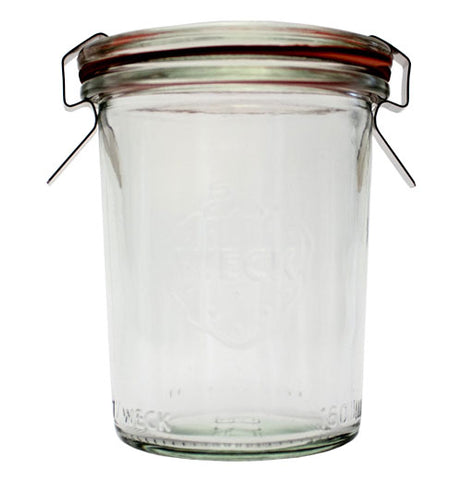 Mini Mold Jar