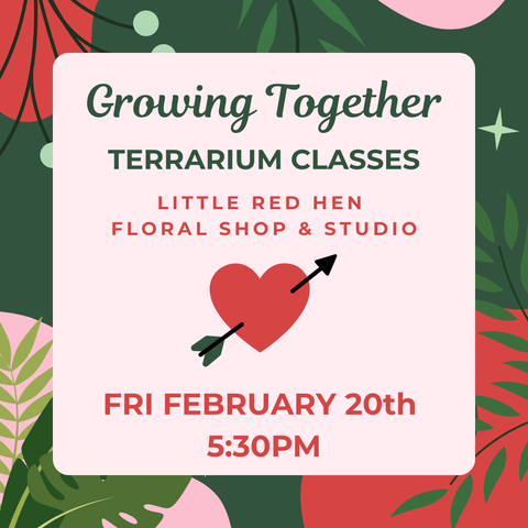 Growing Together Terrarium Class February 20th
