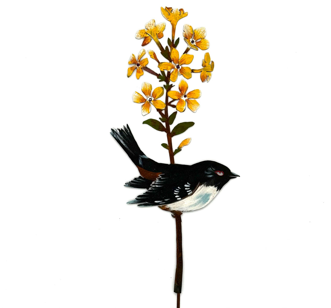 Towhee on Forsythia Pick