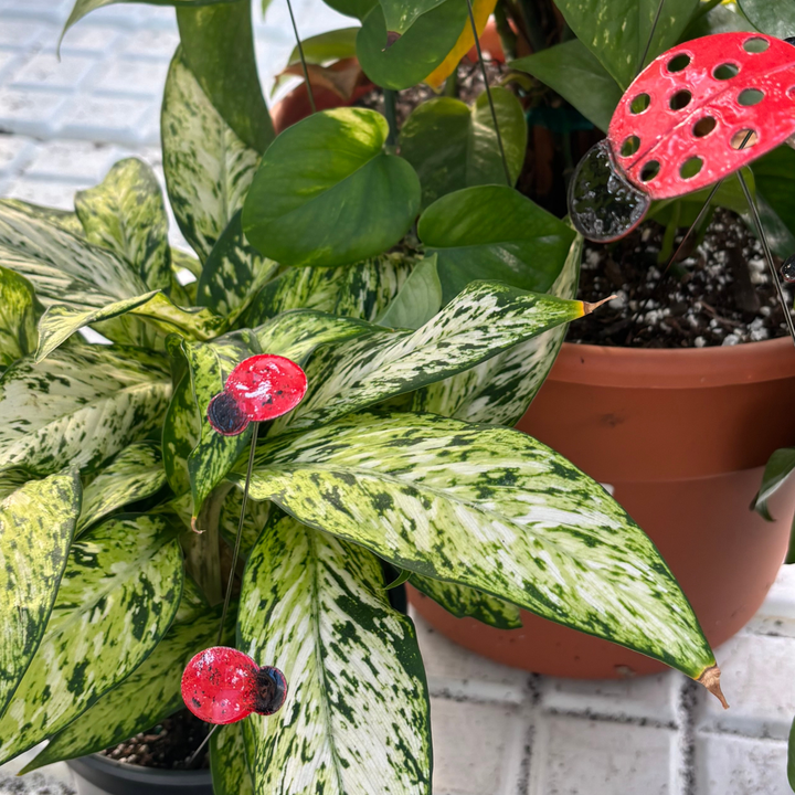 Small Copper Enamel Ladybug Plant Stake