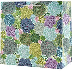 Succulent Gift Bag: Small