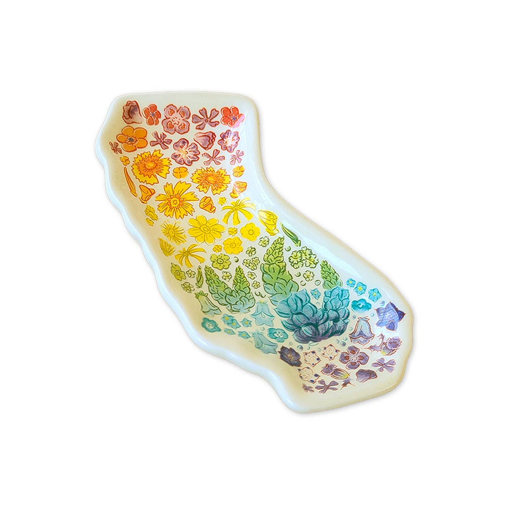 California Shaped Floral Rainbow Trinket Tray