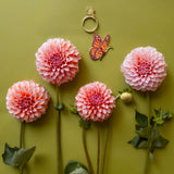 Butterfly Enamel Keychain