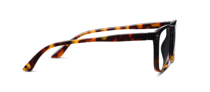 Otto (Blue Light): Cobalt Tortoise / Reading / 2.75