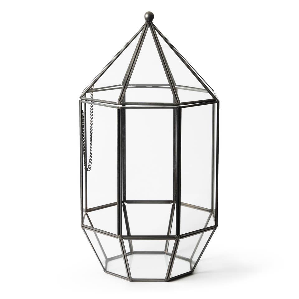 Glass Terrarium: Large