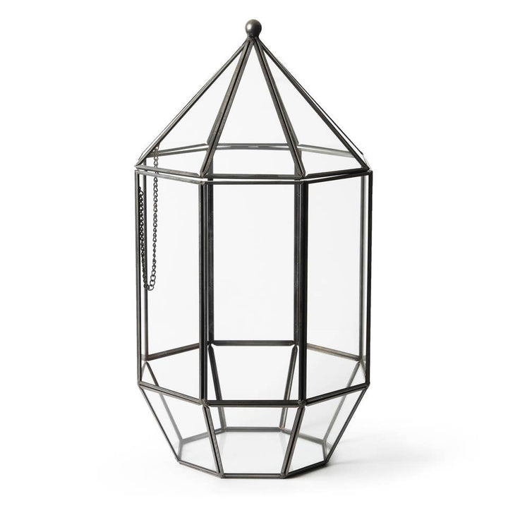 Glass Terrarium: Large