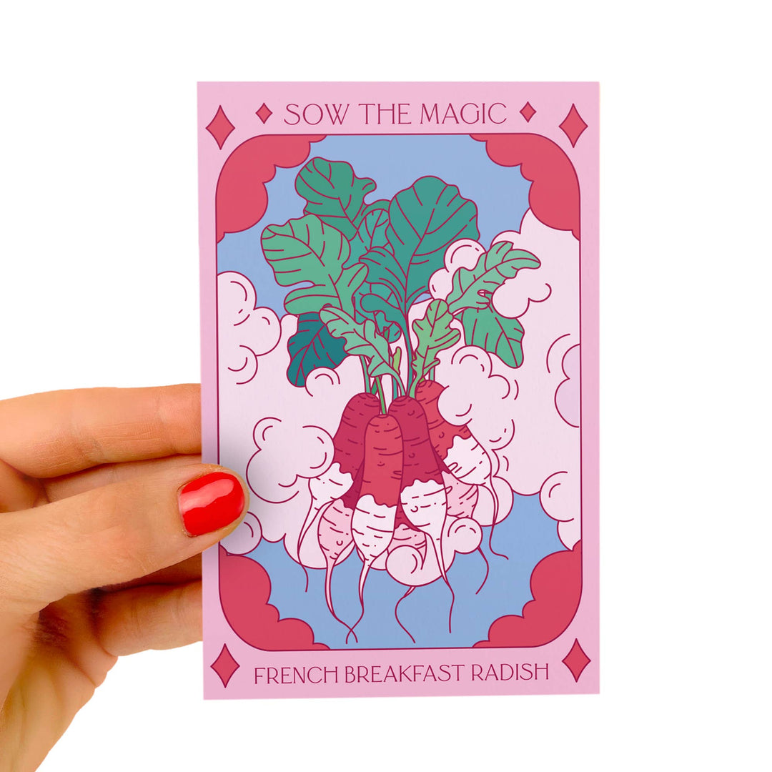 Seeds French Breakfast Radish