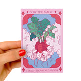 French Breakfast Radish Seeds