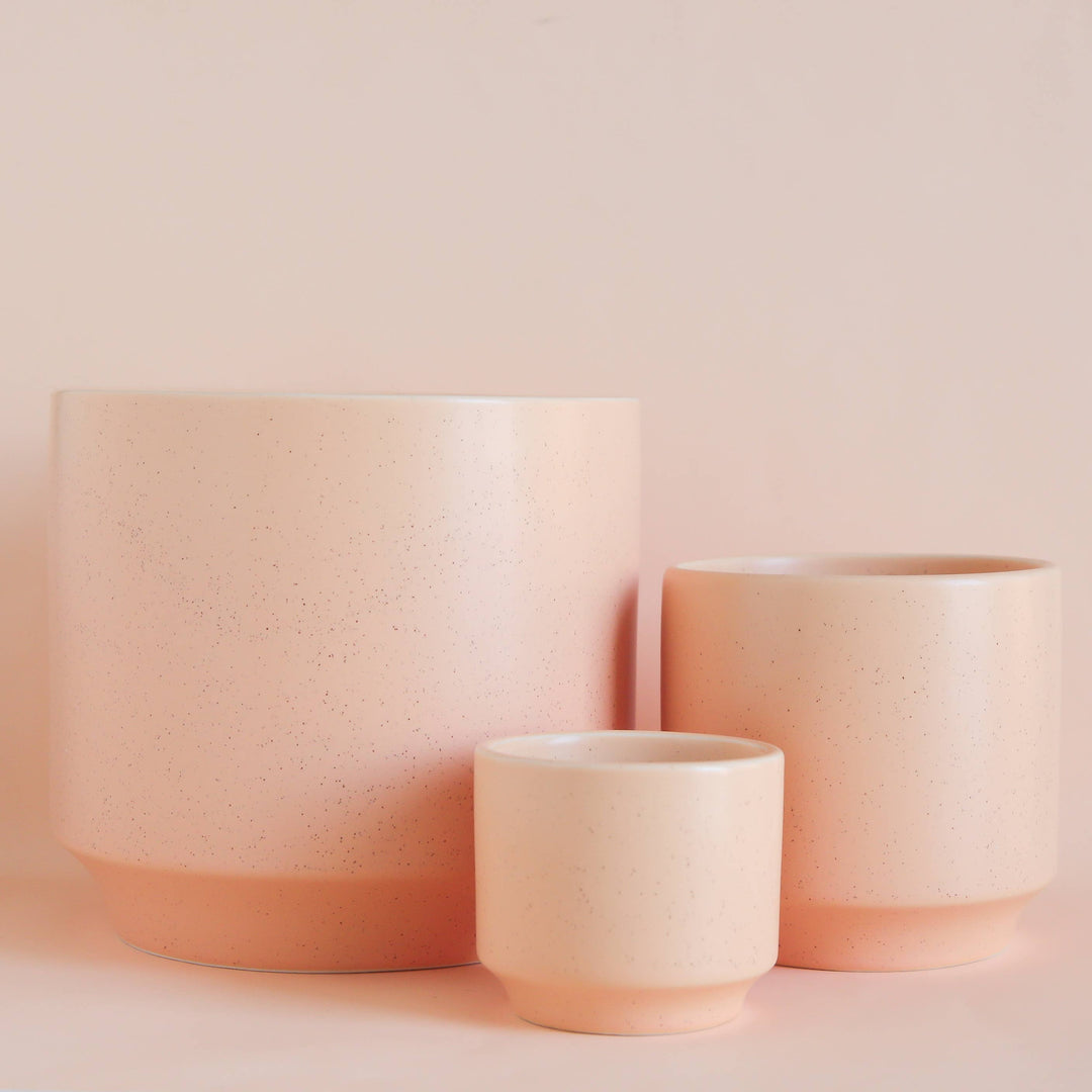 Parker Planter | Sunset Speckle: 3 inch