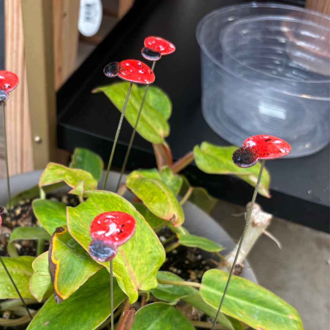 Small Copper Enamel Ladybug Plant Stake
