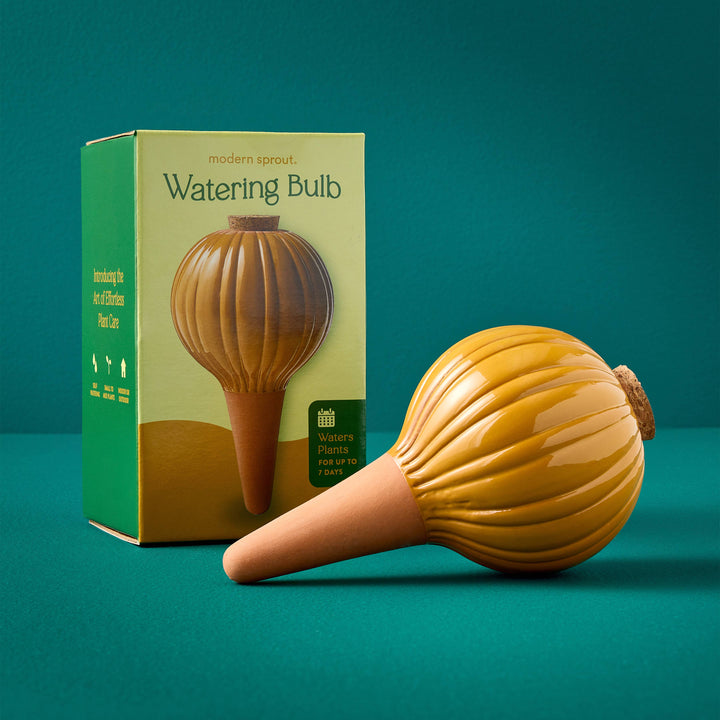 Terracotta Watering Bulb: Sage
