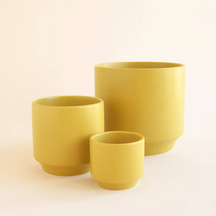 Parker Pot - Palm Speckle 4.5 inch