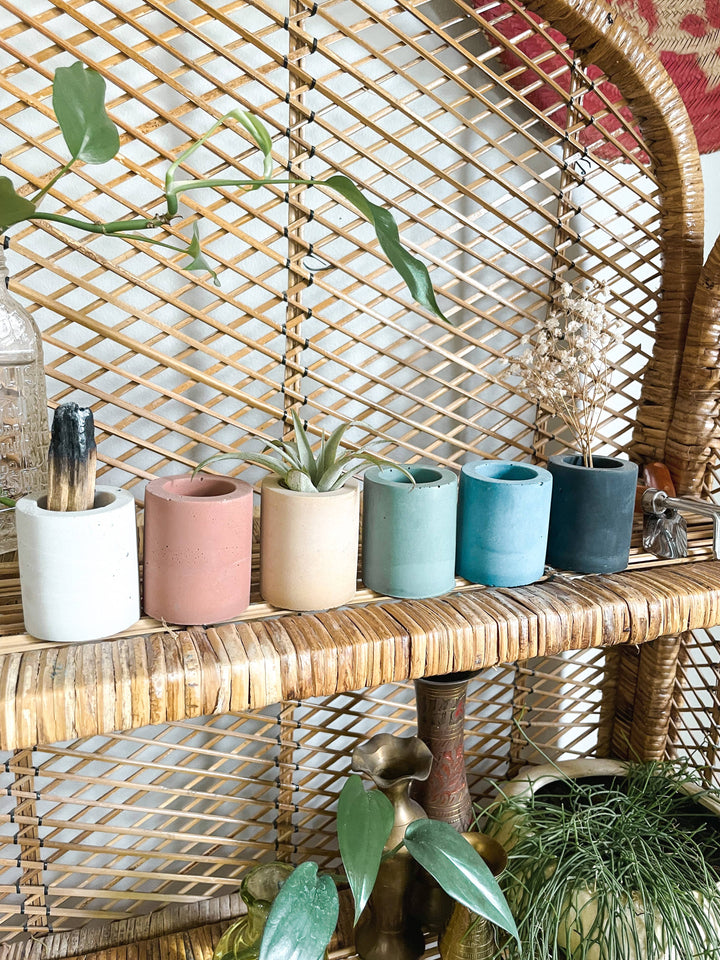 Solid Cement Air Plant Holder: Terra cotta