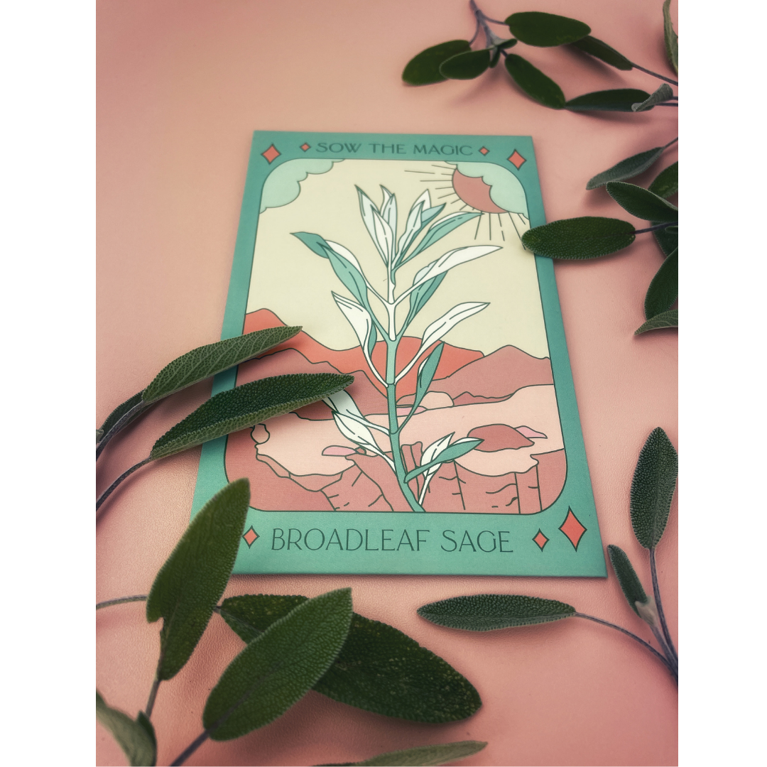 Seeds Broadleaf Sage Culinary Herb