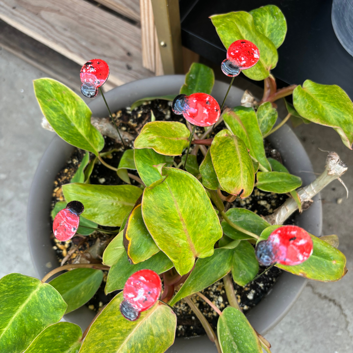 Small Copper Enamel Ladybug Plant Stake
