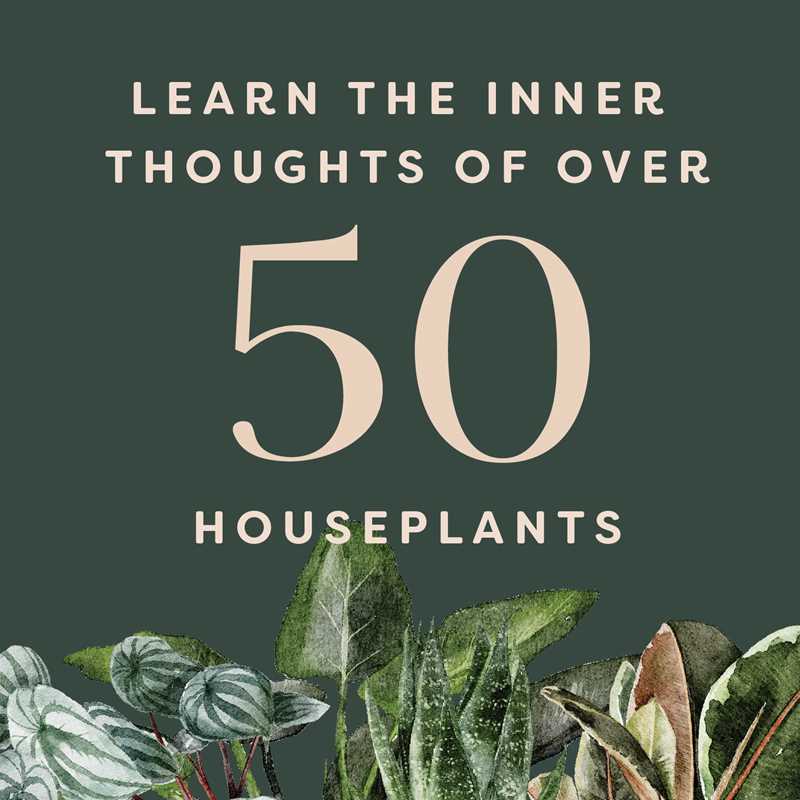 Houseplants and Their Fucked-Up Thoughts by Carlyle Christoff &amp; Elisabeth Saake