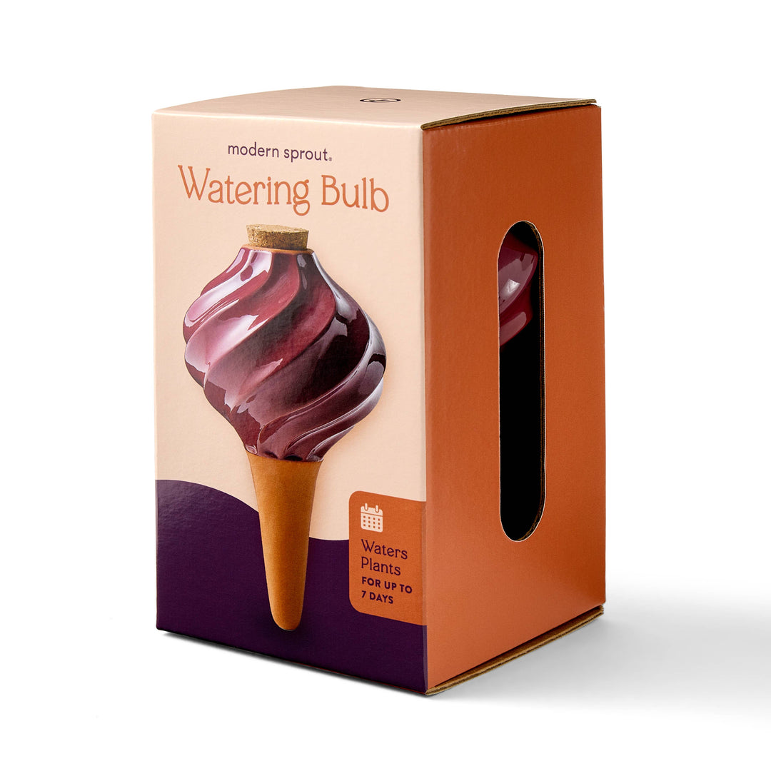 Terracotta Watering Bulb: Sage