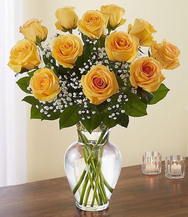 Rose Elegance- Premium Long Stem Roses
