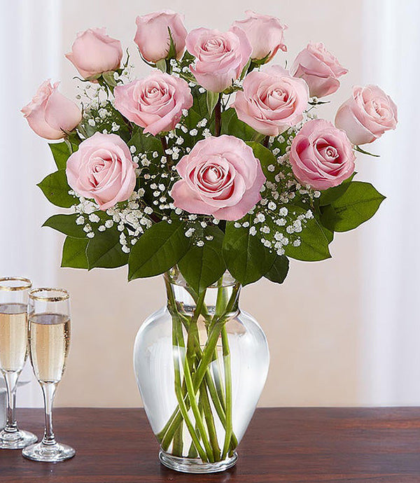 Rose Elegance- Premium Long Stem Roses