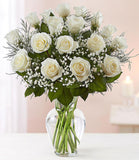 Rose Elegance- Premium Long Stem Roses