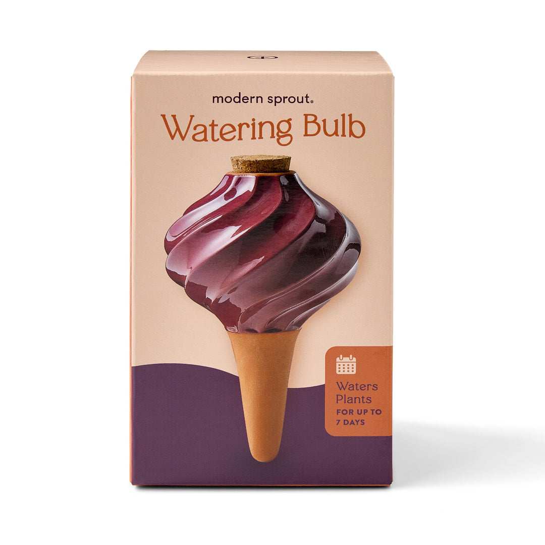 Terracotta Watering Bulb: Sage