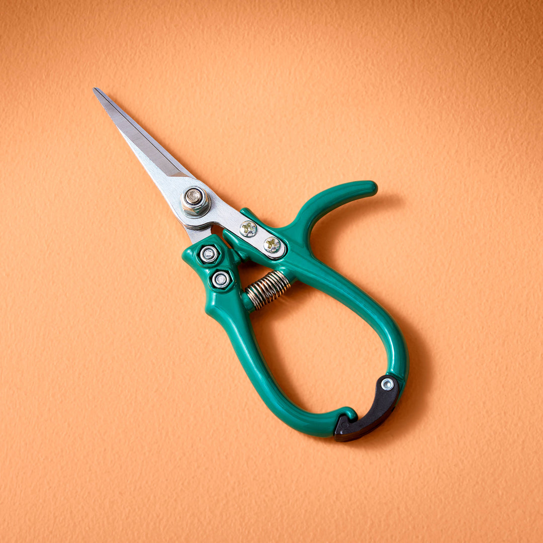 Garden Shears : Ocean