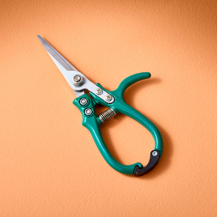 Garden Shears : Sage
