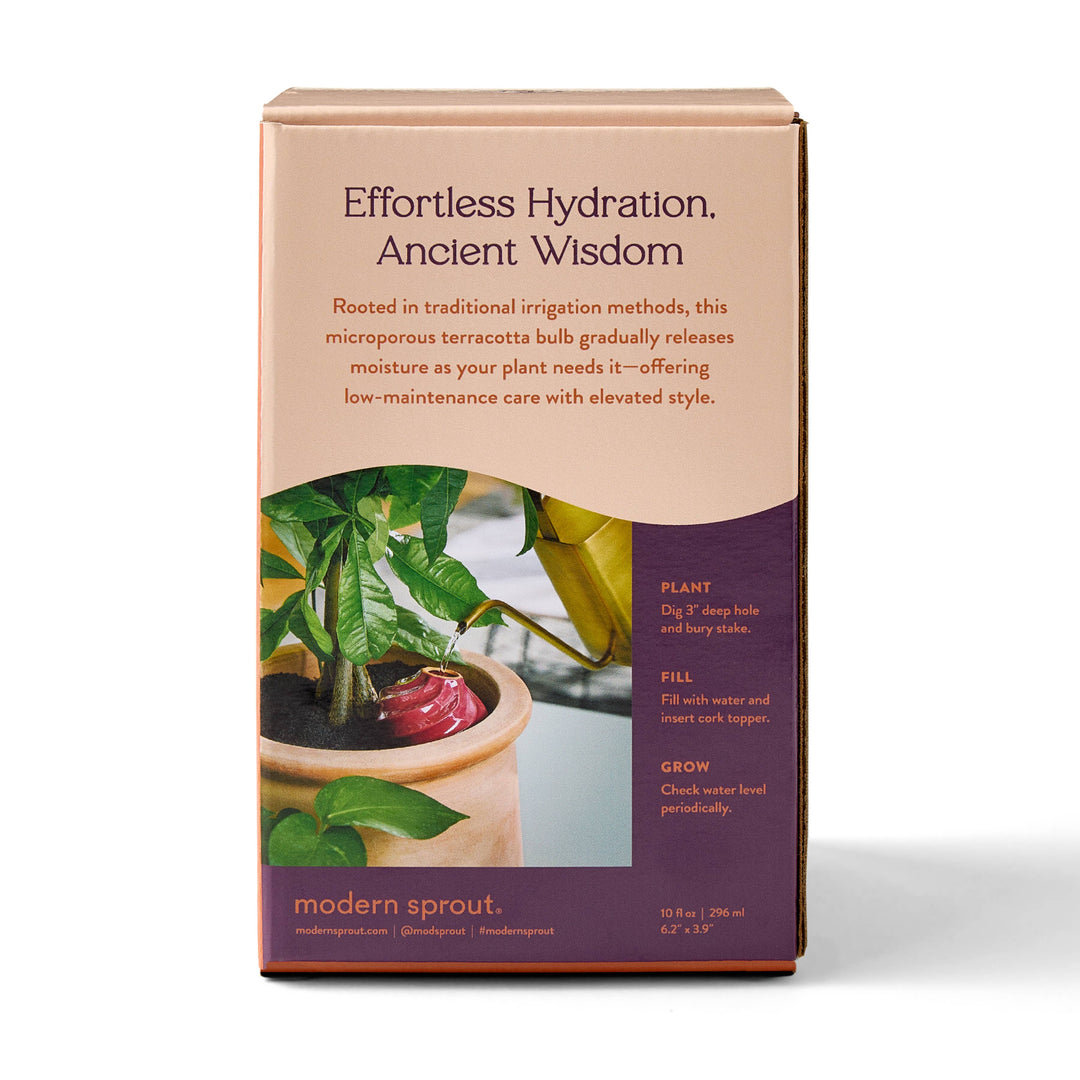 Terracotta Watering Bulb: Sage