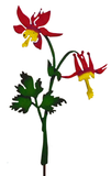 Columbine Pick -Painted