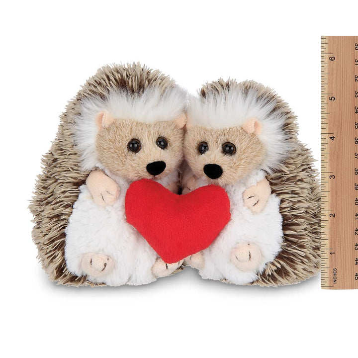 Lovie &amp; Dovey the Hedgehogs