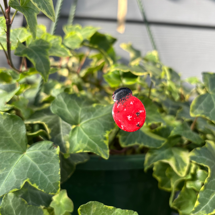 Small Copper Enamel Ladybug Plant Stake