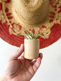 Solid Cement Air Plant Holder: Marigold