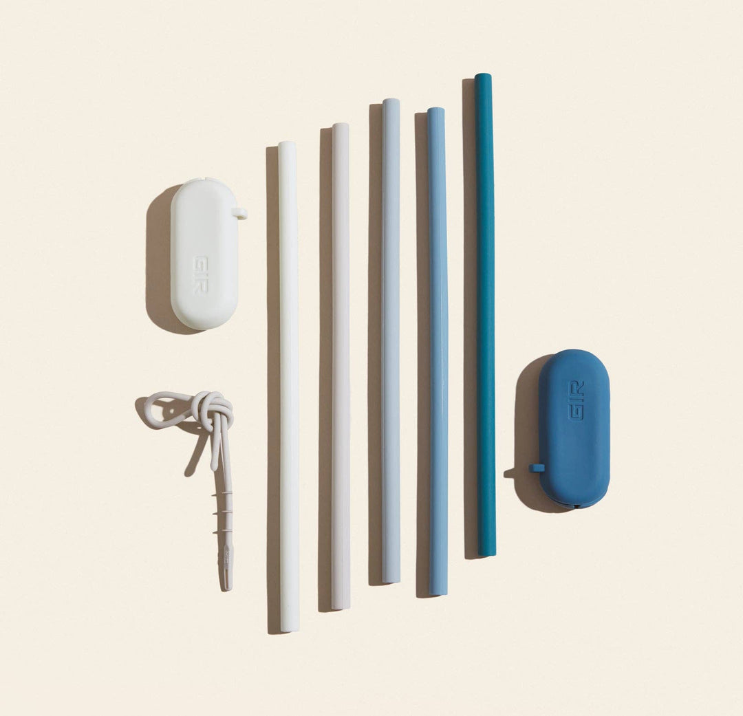Traveler Straw 2-Pack