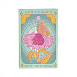Seeds Strength in Echinacea Flower Tarot Garden + Giftable Packet