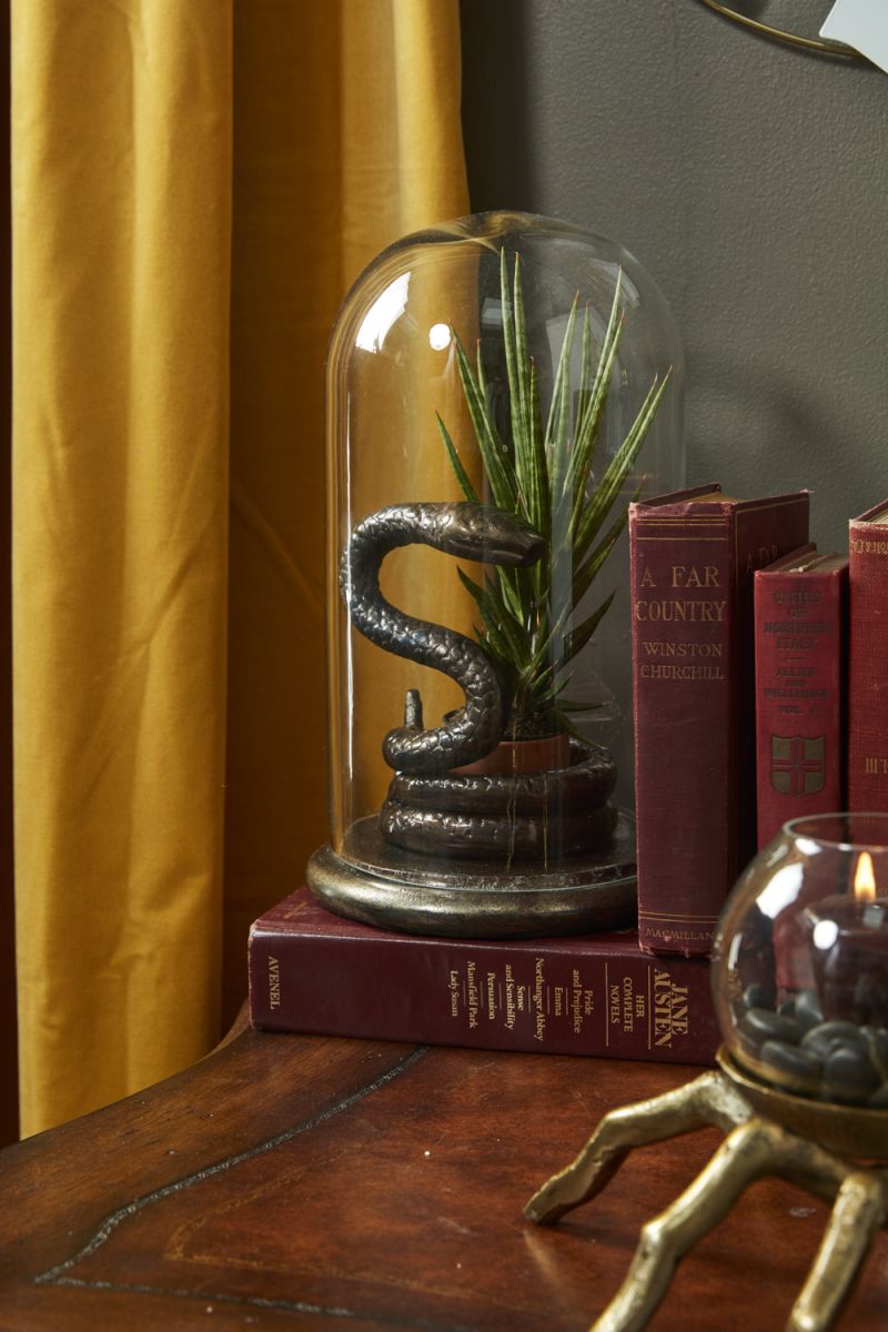 Adder Cloche, Snake Under Glass Halloween Decor \ Plant Holder