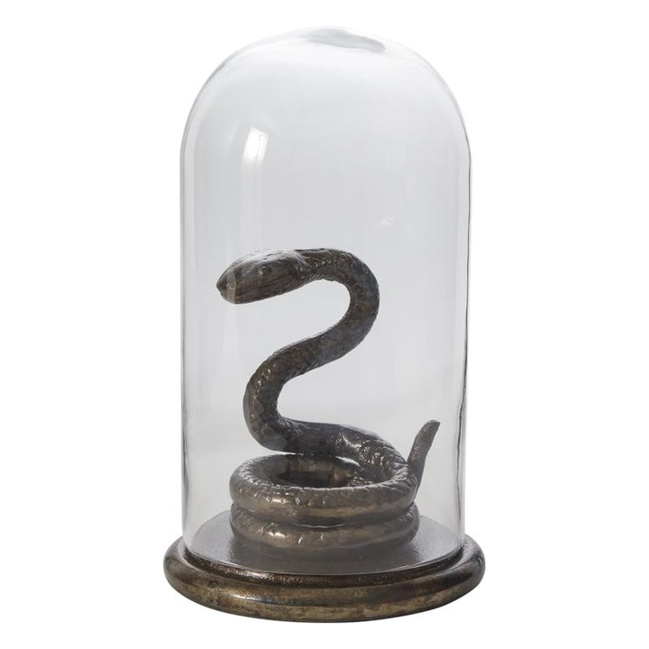 Adder Cloche, Snake Under Glass Halloween Decor \ Plant Holder